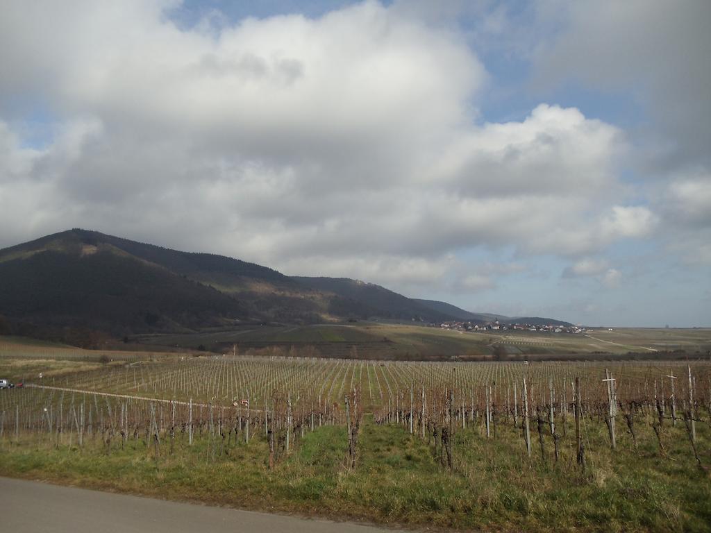 Weinhotel Kienle Burrweiler Kültér fotó