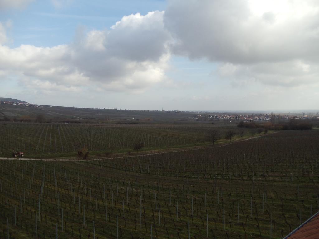 Weinhotel Kienle Burrweiler Kültér fotó