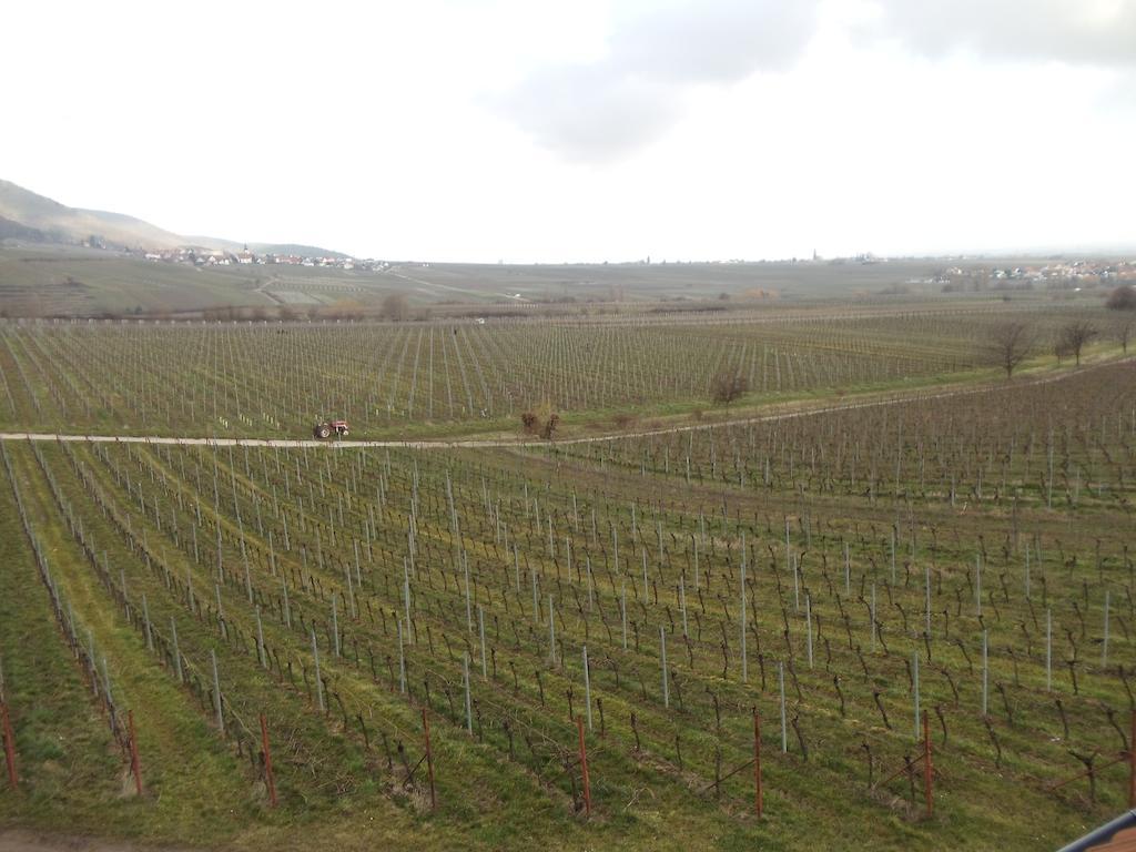 Weinhotel Kienle Burrweiler Kültér fotó